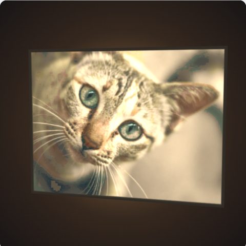 A full colour lithophane of a kitten, glowing with light behind it